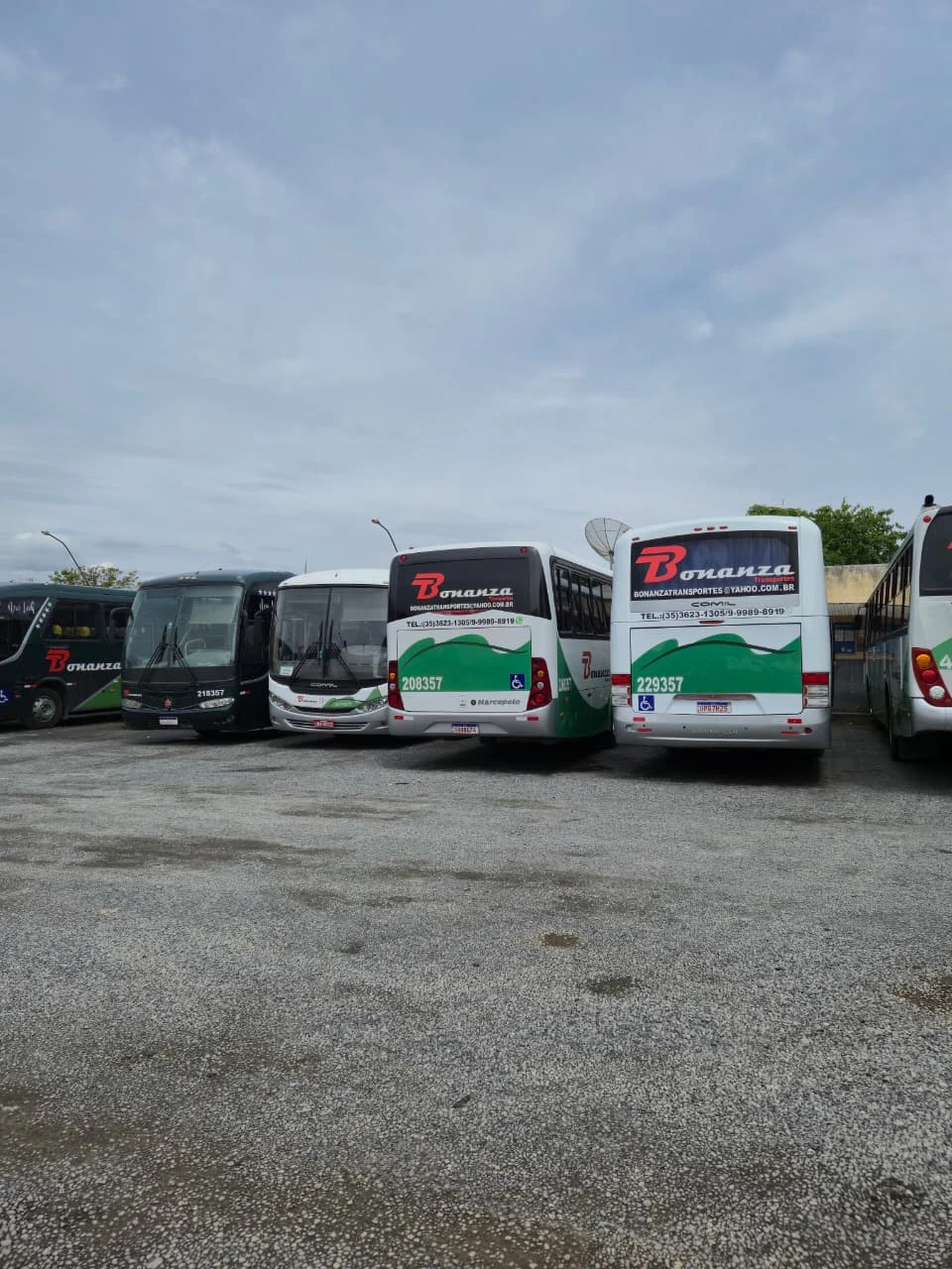 Ônibus 7